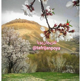 Telegram profile photo for کانال تفریجان پویا