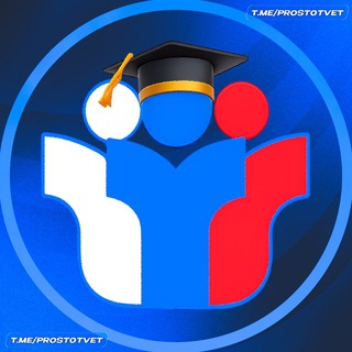 Telegram profile photo for ПРОСТО ПОДГОТОВКА | ОГЭ 2026