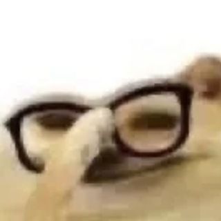 Telegram profile photo for xrchk