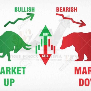 Telegram profile photo for Trading Lessons