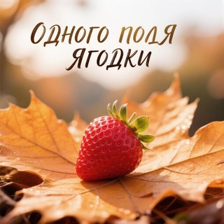 Telegram profile photo for Одного поля Ягодки 🍓
