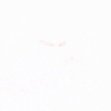 Telegram profile photo for HSCH NTM boshlang‘ich tabobat darslari