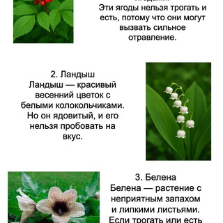 Telegram profile photo for Ландыш