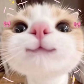 Telegram profile photo for PAYMENT!!