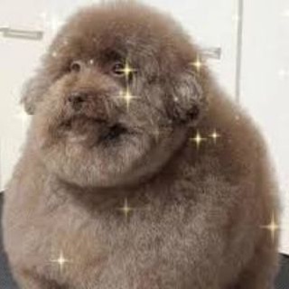 Telegram profile photo for Sigma Ventures