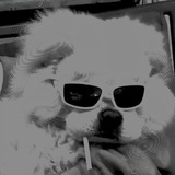 Telegram profile photo for #INVEL