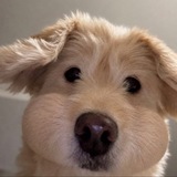 Telegram profile photo for Midnight girl