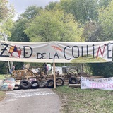 Telegram profile photo for ZAD de la colline DE 🌸🌼🌳