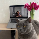 Telegram profile photo for Математика с комфортом 🫶🏻