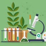 Telegram profile photo for رخصة أحياء / أ. راوية ☘️