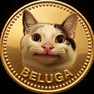 Telegram profile photo for $BELUGA Portal