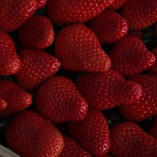 Telegram profile photo for فلاولة 🍓 🤎🥀