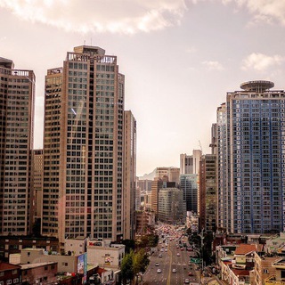 Telegram profile photo for Business Network