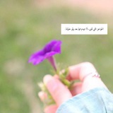 Telegram profile photo for نقاء قلب 💟