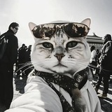 Telegram profile photo for портал в рай