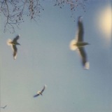 Telegram profile photo for Journaling the Days
