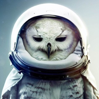 Telegram profile photo for СОВА космическая
