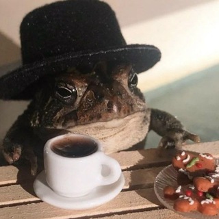 Telegram profile photo for Баклажабкино 🐸
