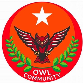 Telegram profile photo for Owl Community 🦉