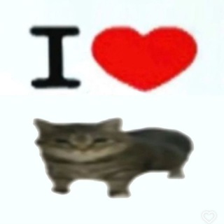 Telegram profile photo for ✙ готуйте мені гробек ✙
