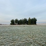 Telegram profile photo for Проект "Побережье"