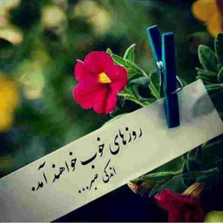 Telegram profile photo for 🕊️اخبارفوری آموزش دهندگان نهضت وحق التدریس جدیدالورود🕊️