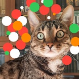 Telegram profile photo for Фима прямо с неба