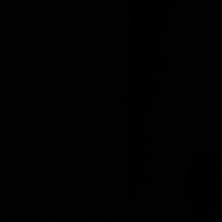 Telegram profile photo for stealth