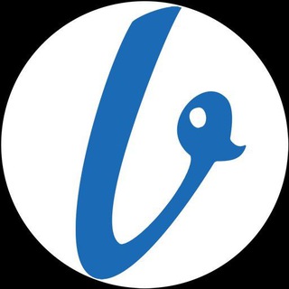 Telegram profile photo for VIZORRO