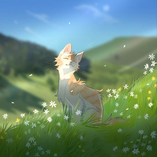 Telegram profile photo for Подвал Кимы