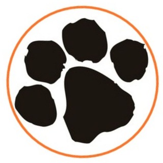 Telegram profile photo for ВКоте