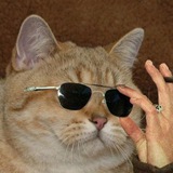 Telegram profile photo for Interesting