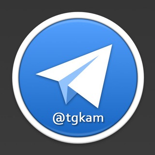 Telegram group profile photo for TG Группы Камчатка