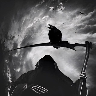 Telegram profile photo for kenya info
