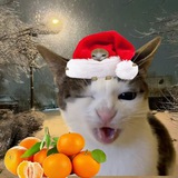 Telegram profile photo for Оккупанты