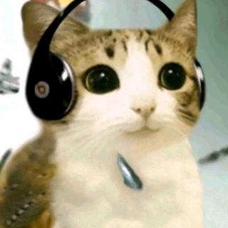 Telegram profile photo for сойер кто