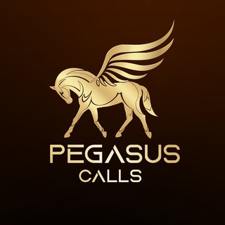 Telegram profile photo for Pegasus Calls