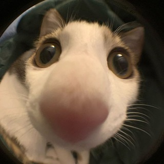 Telegram profile photo for krupski702