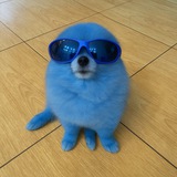 Telegram profile photo for Based Kori - PORTAL