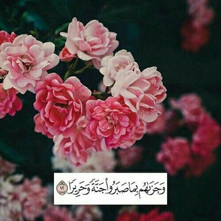 Telegram profile photo for استغـفر الله ..🌿🤍