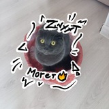 Telegram profile photo for Знххт могёт 🔥🔥🔥