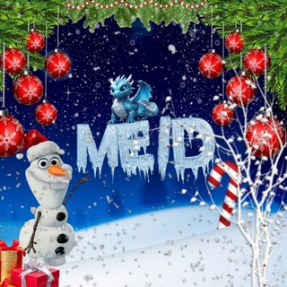 Telegram profile photo for Meid App File