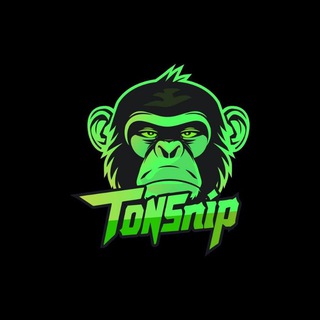 Telegram group profile photo for TONSnip Community