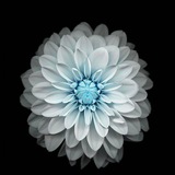 Telegram profile photo for ብርሀን