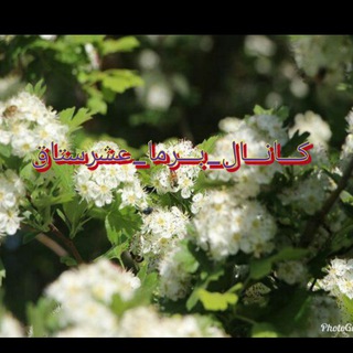 Telegram profile photo for کانال رسمی برما عشرستاق