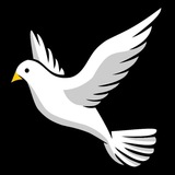 Telegram profile photo for Weisse Taube 🕊