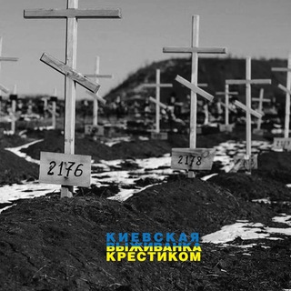 Telegram profile photo for Выживанка