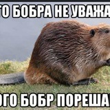 Telegram profile photo for Конкурсы вырасти сад