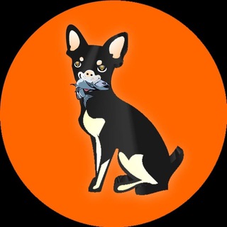 Telegram profile photo for Salmoninu Portal