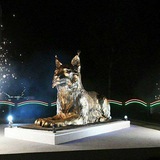 Telegram profile photo for НОВОСТНОЙ ГОМЕЛЬ